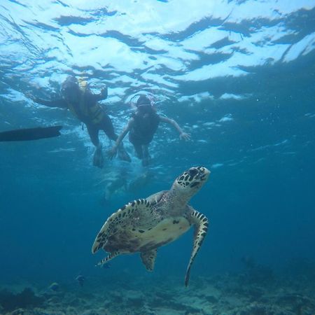 Royal Inn Rasdhoo Maldives Bagian luar foto