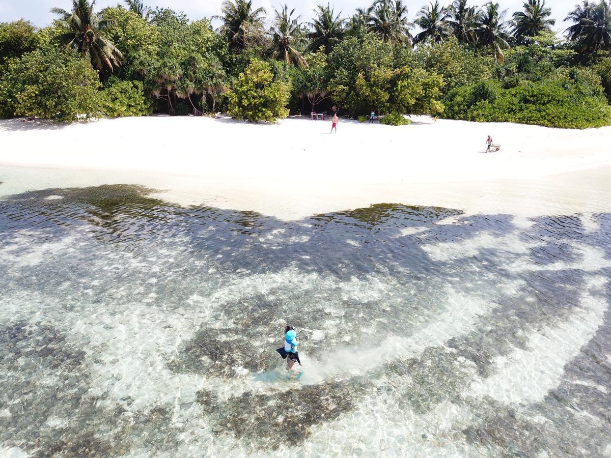 Royal Inn Rasdhoo Maldives Bagian luar foto